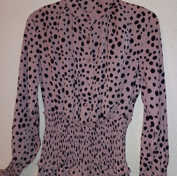 Leopard Print Dress - Picture 2 of 7